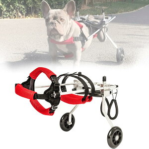 pԈ֎qA߉\ȌpsAL㎈nre[Vp̓֏Q҃ybg㎈PԁAybg㎈⏕ (Size : M)