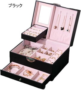 WG[{bNX ANZT[P[X t WG[[ Δ e o t   sAX lbNX O w֒u ̎q p O[