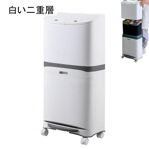 o 䟭  e o 2i X ^ S~ i LX^[ O ӂt e S rO Lb` oX[ Vv c^ ʃy_ 2i e 45L (