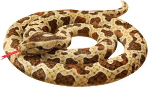  wr ʂ {  A ʔ   l`  NbV YQ _炩 ᔽ v[g q u ̎q j̎q @\ Mtg CeA