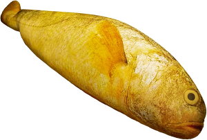 �� �ʂ������ ���A�� �����܂��� �N�b�V���� ���� ���� �{���������� �����O�N�b�V���� ���Q�� �Q�Y�� �������Q �w������ �����܂��� �N���G�C�e�B�u �X�g���X���� �M�t�g �v���[���g �\