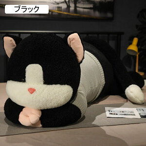 ˂ʂ    L  Z[^[̔L YQ _炩  C ӂӂʂ ܂ NbV 傫/ Mtg v[g ޏގ 