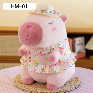 ʂ Jso    GG _炩  ӂ ӂӂʂ Jsol`    VN Mtg v[g j \t@ Ce