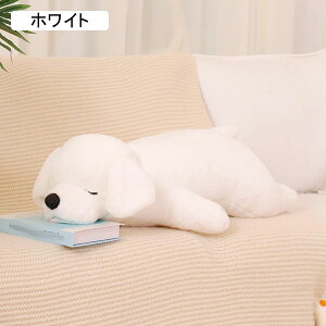  ʂ  NbV A YQ   G ӂӂ _炩  { Ckʂ 傫TCY QĂ錢 Mtg v[g \t@ Ce