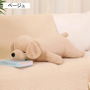  ʂ  NbV A YQ   G ӂӂ _炩  { Ckʂ 傫TCY QĂ錢 Mtg v[g \t@ Ce