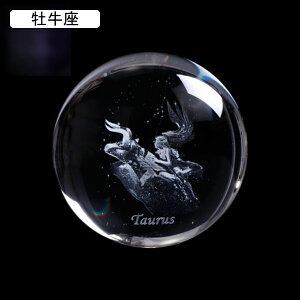 \񐯍 NX^ u  G ^Cv12 ^up CeA  NGCeBu NX^u j  ޏ  蕨 a v[g  킢  