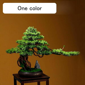 ϗtA  37cm ̖ tFCNO[ ~jTCY lH [n\ CeAO[ u A tFCNA b炸 sv ~͐A f[ K[fjO v