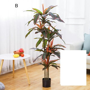 ϗtA tFCNO[ 150cm 110cm Mт̃V̖ 傫 lH CeAO[ ^ Mъϗt u A tFCNA Q쏜sv ~͐A  Ƃ̒ɒulHϗtA