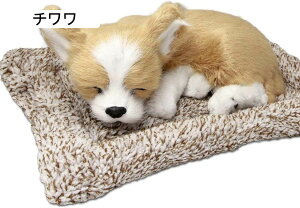 ̂ʂ ` A u Q炪 Y  CeA