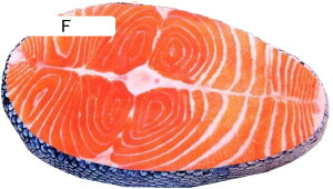 �ʂ������ �h�g ���� �ɂ� ���z�c ������ ���킢�� �D����� �ӂ�ӂ� �������� ���� ���A�� �Y���Q �􂦂� ���j�� �v���[���g