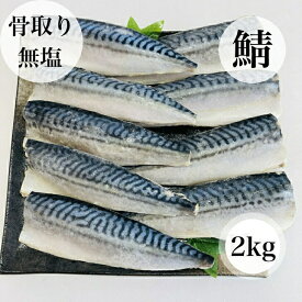 【送料無料】骨取り 鯖 サバ さば 無塩 無添加 1キロ 冷凍 ギフト 贈り物 バラ凍結 訳あり 骨なし 大容量 お得用 子ども 朝食 お弁当 骨なし 御中元 御歳暮 お中元 お歳暮 父の日 母の日