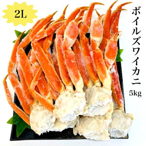 yz2L{CYCJj 5kg 20O VAY {C {Cς Ⓚ Jj I t[Y 1񓀌 D}  Ε