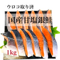 【デイリーランキング1位獲得】【送料無料】国産 甘塩銀鮭 無添加 1kg 10切〜13切 ウロコ取り お中元 お…
