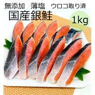 無添加 国産【送料無料】銀鮭 (1kg 10切〜13切)( 2kg 20切~26切) ウロコ取り 減塩 薄口 お中元 お歳暮 冷…