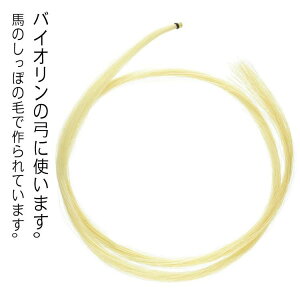 2s[XZbg oCI| ёւ C rI yANZT oCI 悢F oCI n |̖ёւp oCI