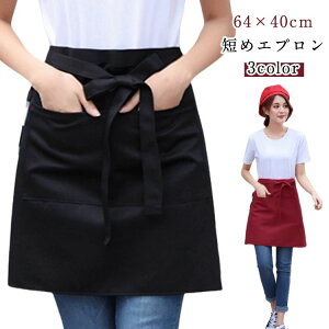  [  ۈm Gv V[gGv Ɩp HX jtH[ O| Ɩp  JtF jp Gv