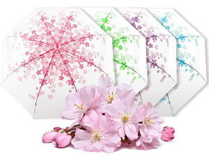 4F cct ʊw w WjA  킢 jp LbY  q qǂ vg ̎q j̎q 2ʓ