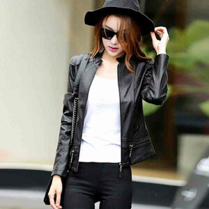 fB[X XG[h 50 WPbg oCN Ȃ H  U[ 40 ~ 20 ItBX AE^[ v Vbg U[