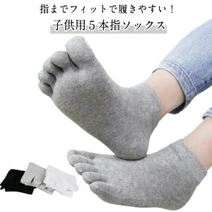 5Zbg q C qpܖ{w\bNX LbY  Rbg j̎q ̎q n Vv ʉ ʊw ₦ ₦Ƃ X