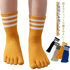 5Zbg q C qpܖ{w\bNX  Rbg C j̎q ̎q V[g\bNX  X|[c\bNX