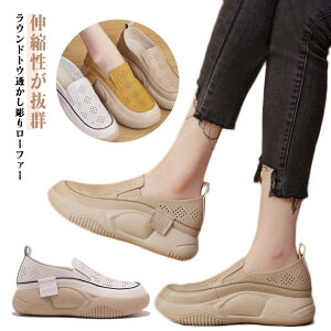 Od Xj[J[ EhgD胍[t@[[fBXV[Y JWAV[Y fB[X RȂ pvX