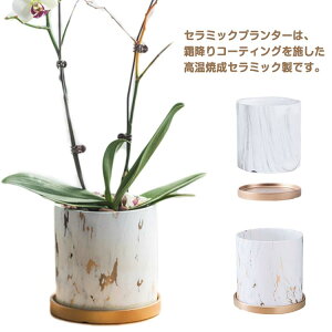 14cm Z~bNAؔ 픫 嗝Ζ͗l  A  vg|bg Aؔ A CeA  v^[ 