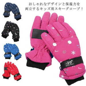 j̎q Xm{[  h XL[O[u Xm[ XL[ XL[O[u N  ܖ{w N h LbY Xm