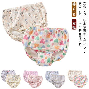 _炩 LbY   pc 2g 100  Ci[ V[c ̎q  A_[EFA w c ۈ牀 ct qp