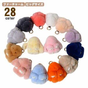  L[z_[ t@[ `[ S28F fB[X obO`[ l 킢 ӂӂ At@[ 10cm rbOTC