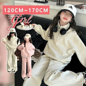 t H q  W[W g[i[ ̎q ㉺Zbg XEFbg ZbgAbv xr[ LbY WjA K[Y 