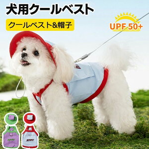 ybg N[xXg  ⊴ ObY ʋC p  ̉ MǑ΍ xXg ĕ pxXg ⊴N[ N[ ⊴