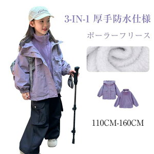 WPbg ~ 3 C 1 LbYnCLOEFA AEghA  2 s[XZbg ۉ AE^[ C