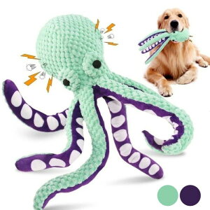   p^Rʂ ^R  ^ ^ ^ Ή o  ݉ v ϋv ʂ y