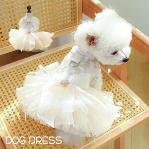 hX  hX ̎q  s[X i  Vp t  ^  DJt `[XJ[g 