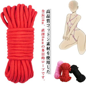  ZNV[ObY SM [v ٔ 10m bh ubN sN Rbg[v Jt ړI  8mma  [v ړI[