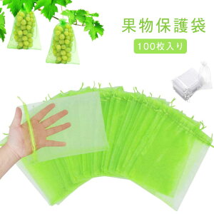 ʕlbg 񂲑 ʕی ʕی ʋC 100 h ʎ lbg t[clbg ʕیlbg |lbg 