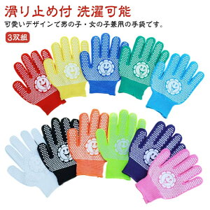 ����\ �A�E�g�h�A �L�����v ���@�� �w�Z�s�� �^���� ���� �ʋC�� �K�[�f���p �A�E�g�h�A ���| �ʊw �j�����p ��w