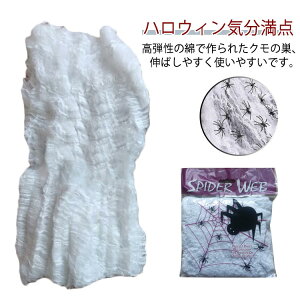 nEB RXv 100g w偂̎ nEB 30Zbg  XpC_[EFu  t ~ N nEBO