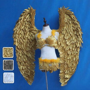 Vg H RXv H  wing ECO Vg݂ d  ^ t@bVV[ p[eB[ObY Be Xe[W