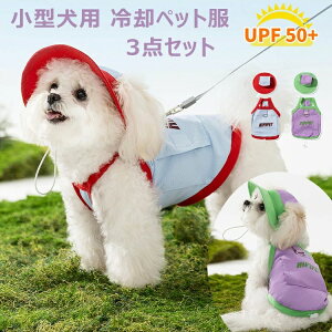 3_Zbg  ĕ Ђ ^Ngbv ڐG ⊴ N[ ⊴ ʋC h UVJbg MǑ΍    ^