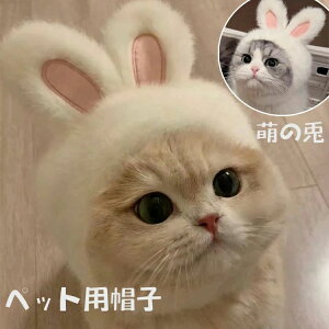 ybgObY hbO Ck  Lbg lR ˂ Be p[eB Cxg nEB  h ӂӂ {A 킢 