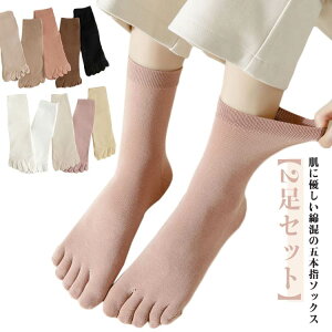 n[t\bNX tH 2Zbg d˗ X|[c ܖ{w C 5{w n jO fB[X 5{w\bNX  [\