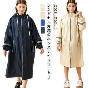 w  CEFA ct ~J΍ |` Ή bN oCU[t  h t@Xi[ hZΉ q