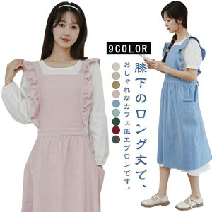 t t Gv s[X Wp[XJ[g obNNX |Pbgt | JtFGv ̓ K[fjO