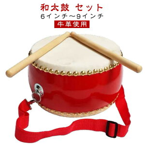 Xgbvt t Zbg p[JbV  a p[eB[ 6C``9C` v ǂ a20cm qp 
