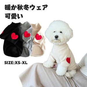   ̕  Mtg 킢  v[g pi o m ` hbOEGA ~p