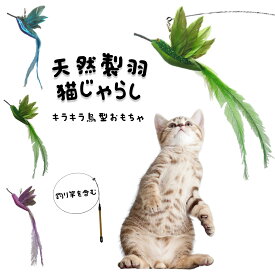 新設計 猫じゃらし 天然製羽 羽のおもちゃ 一人遊び 猫 鈴付き 釣り竿 頑丈 ストレス解消 ねこ 運動不足解消 遊び道具 用品 人気