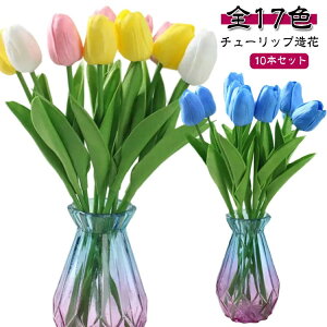 17F  `[bv ԃCeA tFCNt[ Mtg ؂Ȑl֊ӂ̋C` ԑ CeA ͂