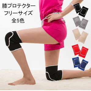 Gpbh j[pbh j qp GZbg Ђpbg XP[g{[hveN^[ NbV mXbv oG _X