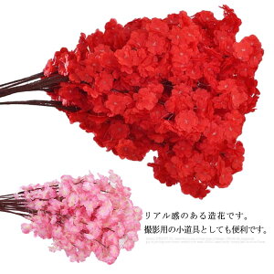    t TN  } ͂Ȃт ̉ lHA lH nhCh Ԍ ԏ G fR A  X